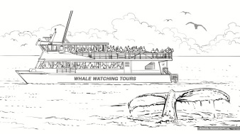 PenFed, Cashback Whale, BW storyboard frame 1 - White64