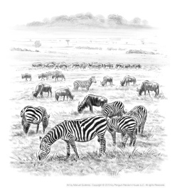 Where is the Serengeti? Page 8